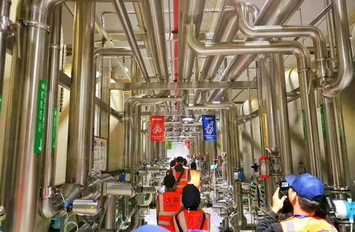 百威雪津 世界級智慧低碳工廠，黑科技護航啤酒誕生之旅與接待業務